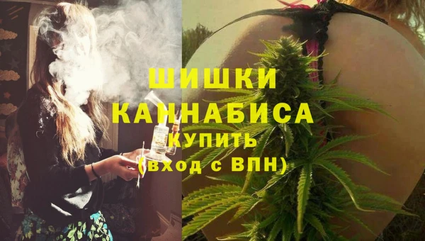 трава Козельск
