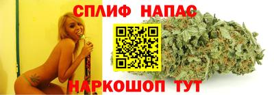 гашик Бузулук