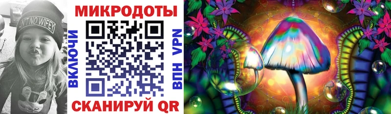 Галлюциногенные грибы Magic Shrooms где найти Волгодонск