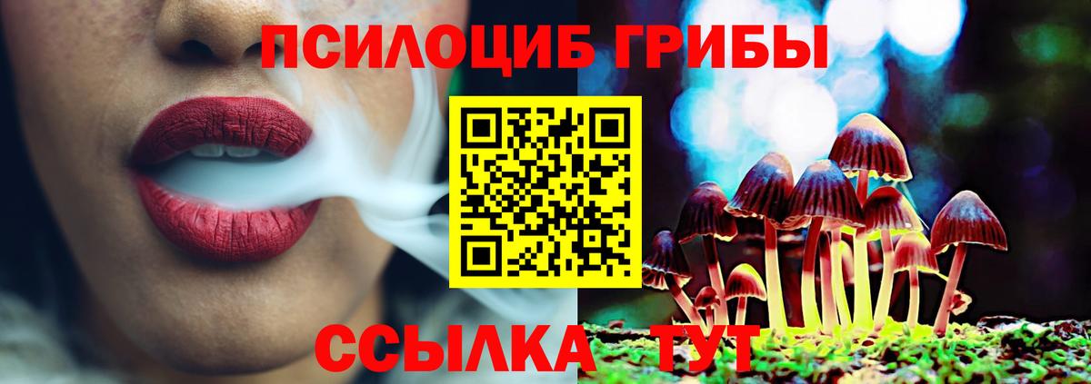 Псилоцибиновые грибы MAGIC MUSHROOMS Волгодонск