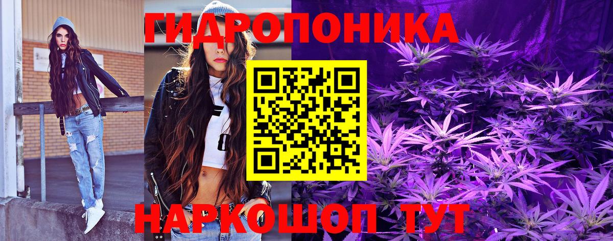 Канабис ГИДРОПОН  Вход с VPN  Волгодонск  Канабис индика 